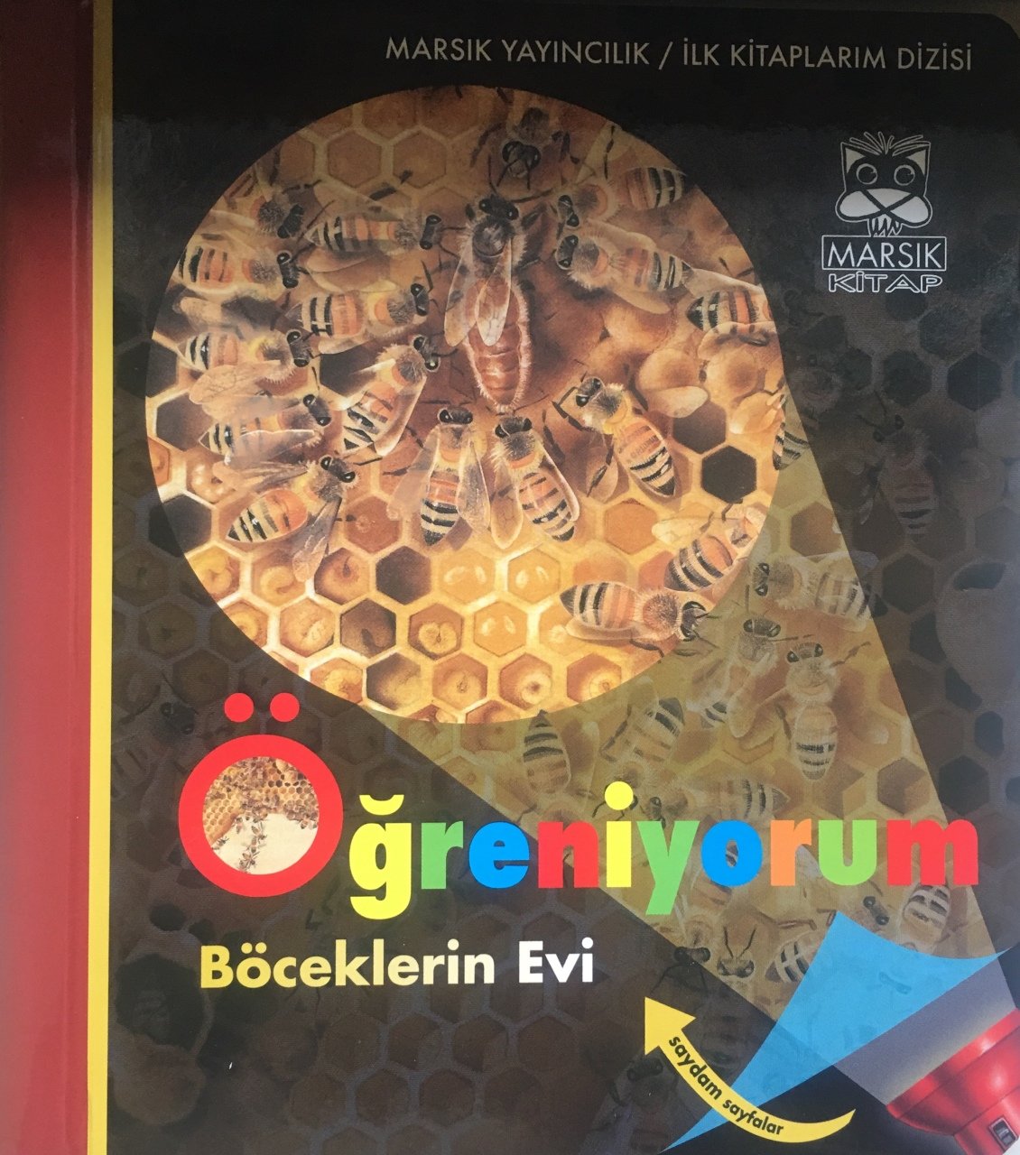 Böceklerin Evi - Öğreniyorum (Fenerli)