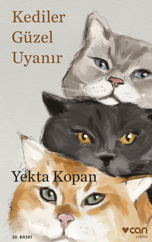 Yazarından İmzalı - Kediler Güzel Uyanır