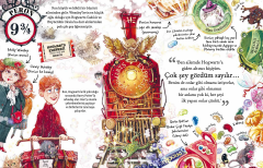Harry Potter Cep Kitapları - Ron Weasley