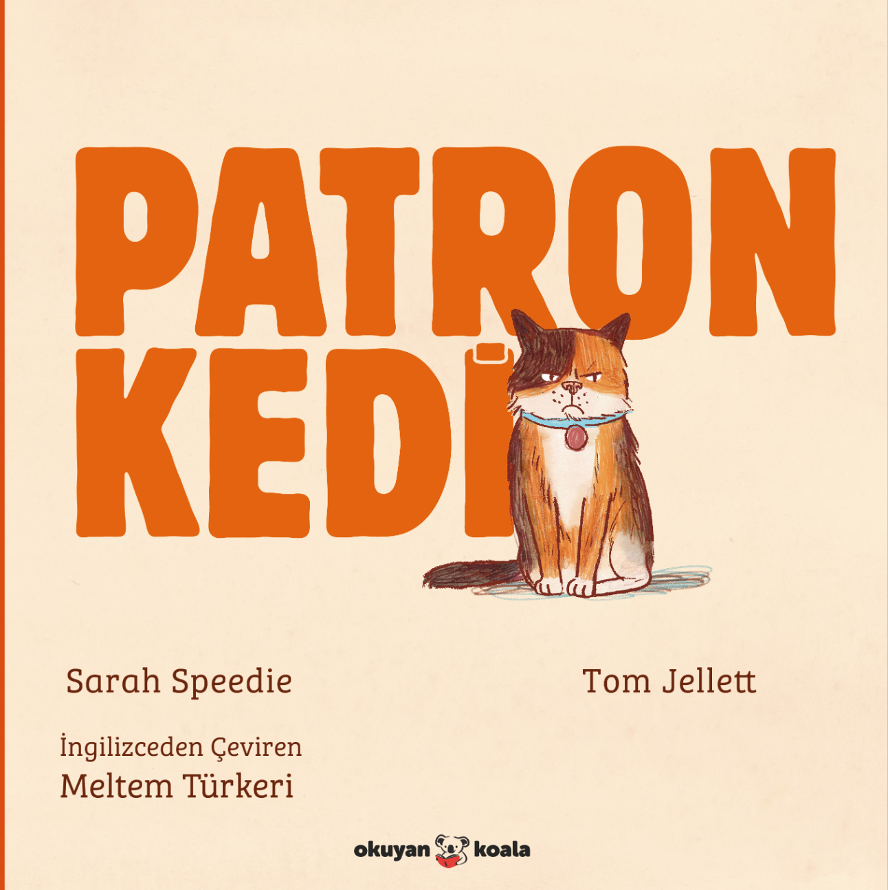 Patron Kedi
